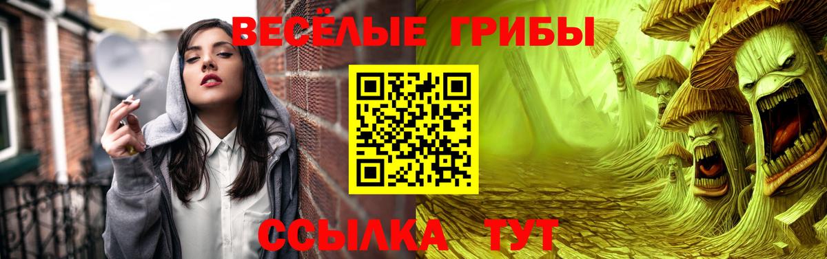 Галлюциногенные грибы ЛСД  Псилоцибиновые грибы Cubensis  Вход с VPN  Янаул 